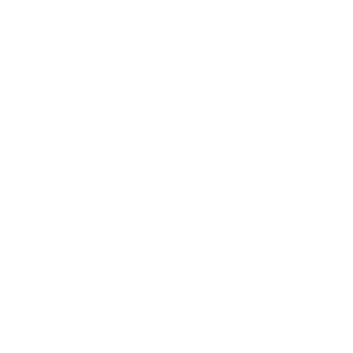 Logo-Client_0002_DecoSurface